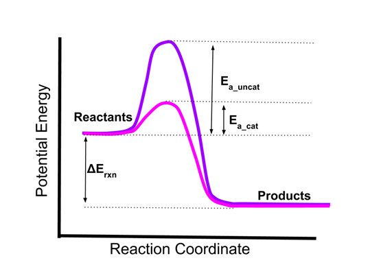 Scientific Models: Red Atoms, White Lies and Black Boxes