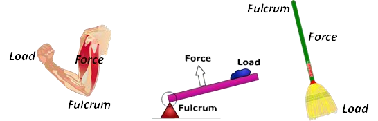 Force Diagram