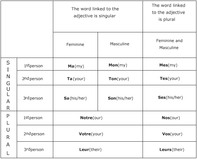 Possessive Adjectives or Possessives Determiners In French