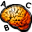 Sequence Memory