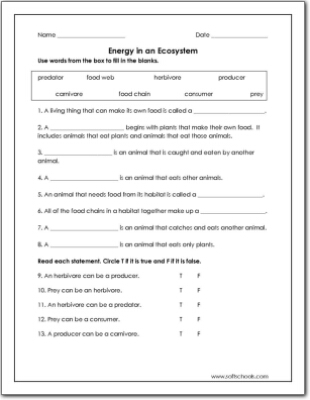 Energy in an Ecosystem Worksheet